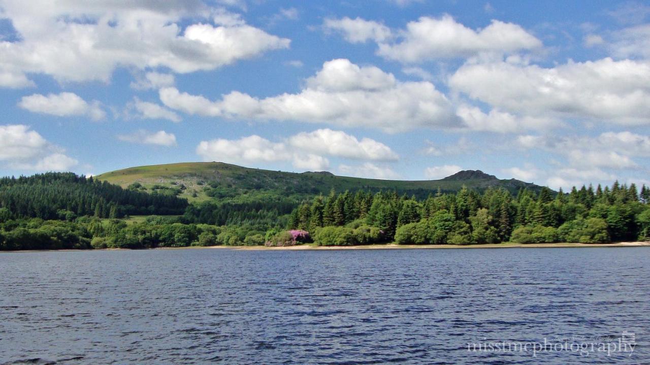 Dartmoor Reach Alpaca Farm Heated Cabins 5 Mins Drive To Dartmoor Bovey Tracey Ngoại thất bức ảnh