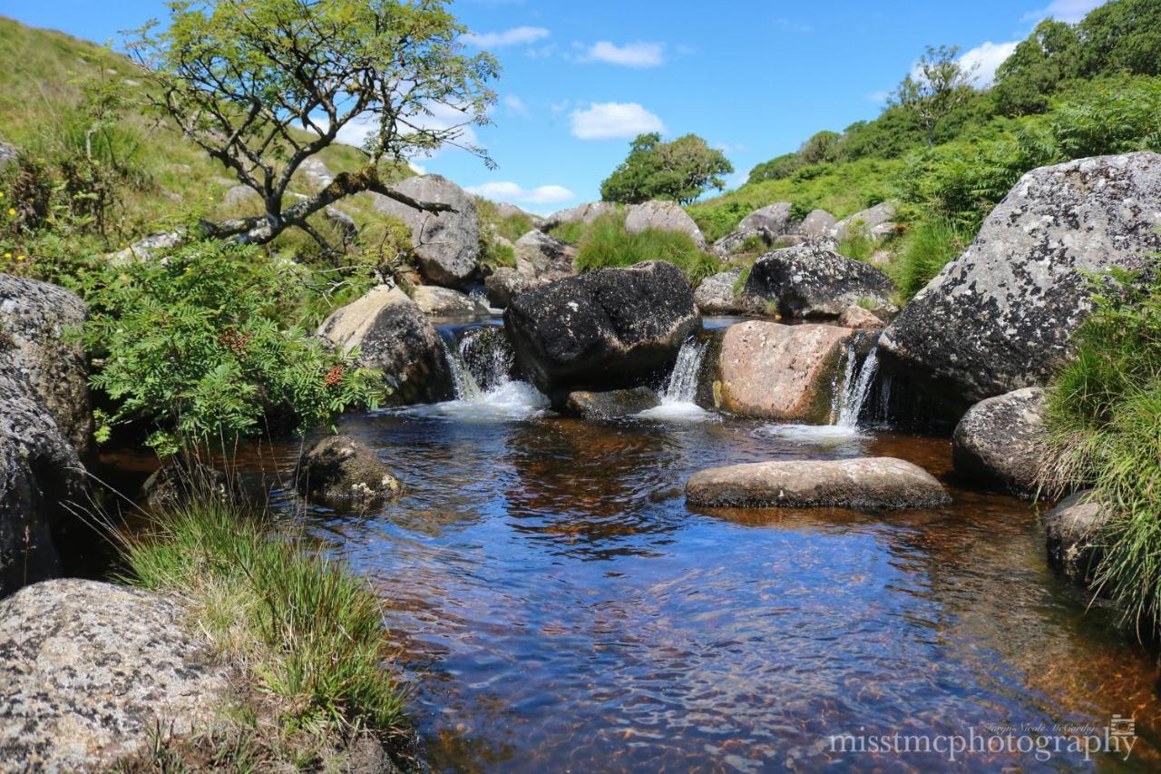 Dartmoor Reach Alpaca Farm Heated Cabins 5 Mins Drive To Dartmoor Bovey Tracey Ngoại thất bức ảnh