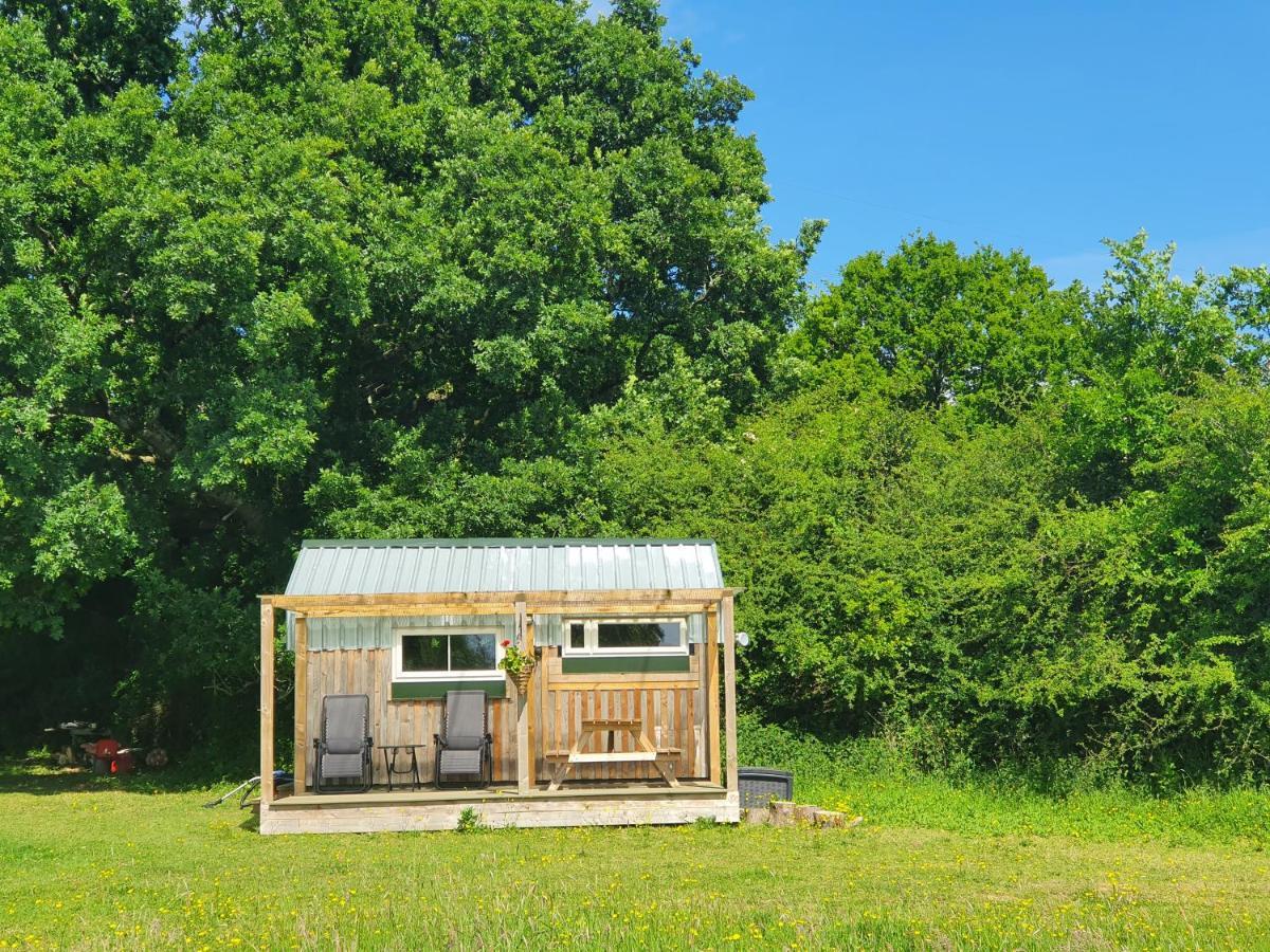 Dartmoor Reach Alpaca Farm Heated Cabins 5 Mins Drive To Dartmoor Bovey Tracey Ngoại thất bức ảnh