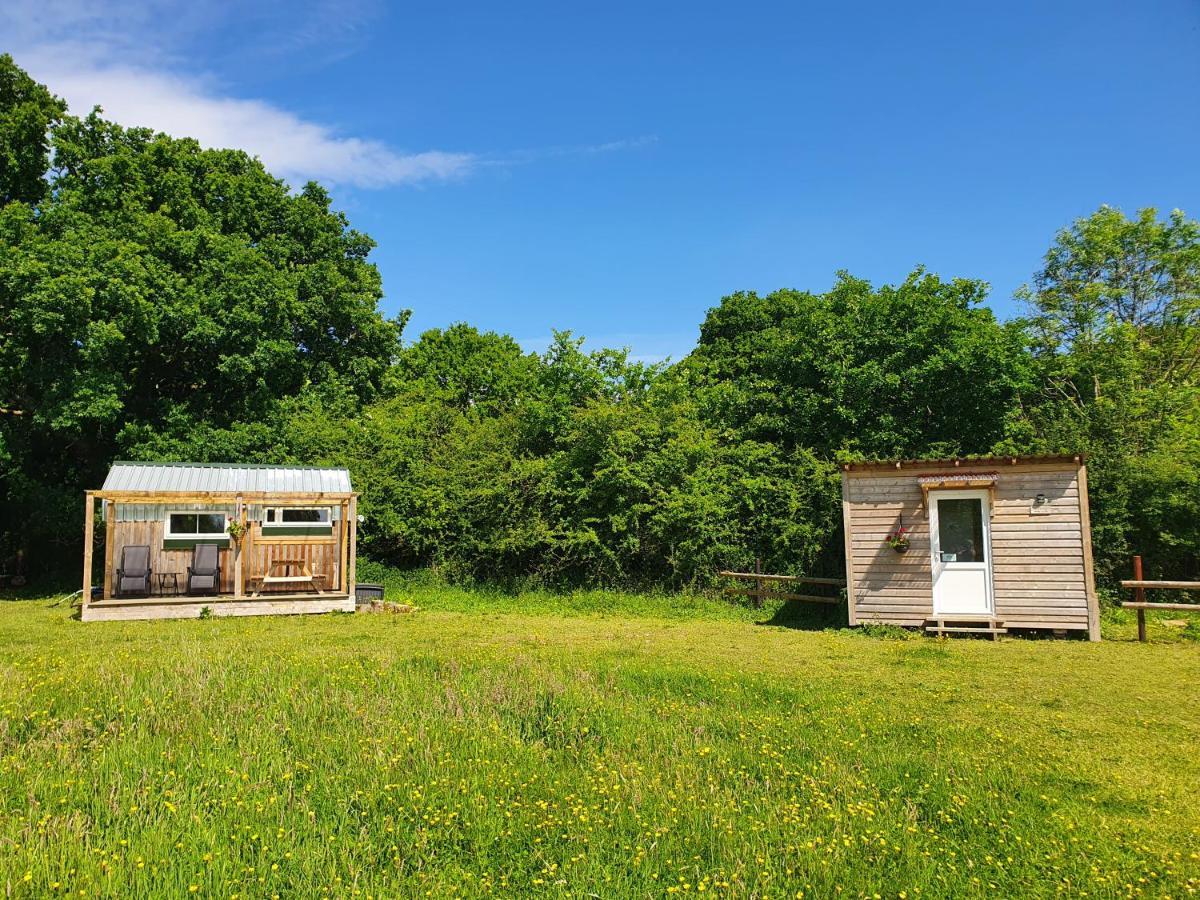 Dartmoor Reach Alpaca Farm Heated Cabins 5 Mins Drive To Dartmoor Bovey Tracey Ngoại thất bức ảnh
