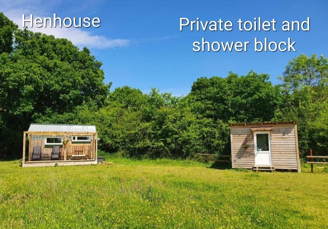 Dartmoor Reach Alpaca Farm Heated Cabins 5 Mins Drive To Dartmoor Bovey Tracey Phòng bức ảnh