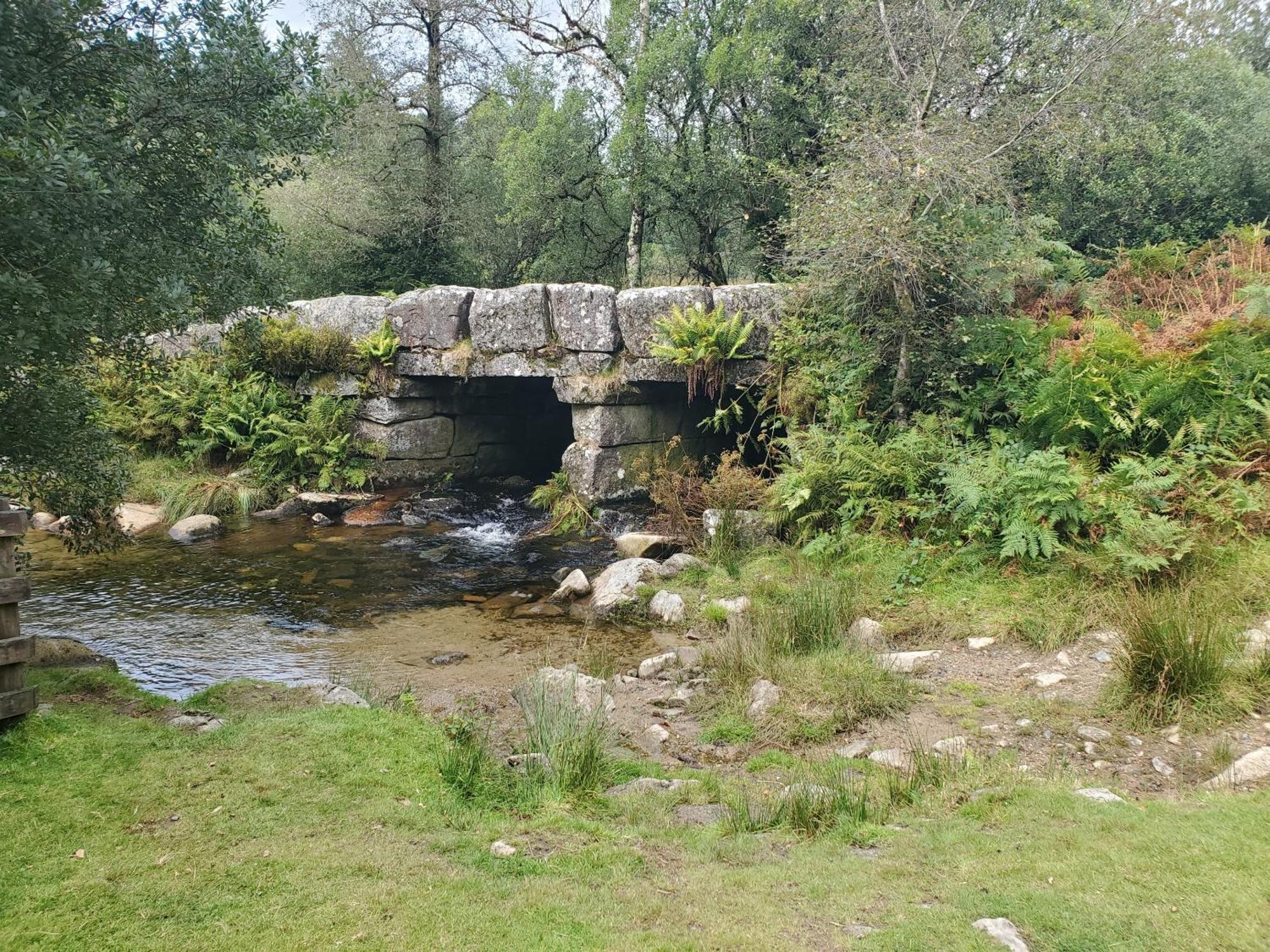Dartmoor Reach Alpaca Farm Heated Cabins 5 Mins Drive To Dartmoor Bovey Tracey Ngoại thất bức ảnh