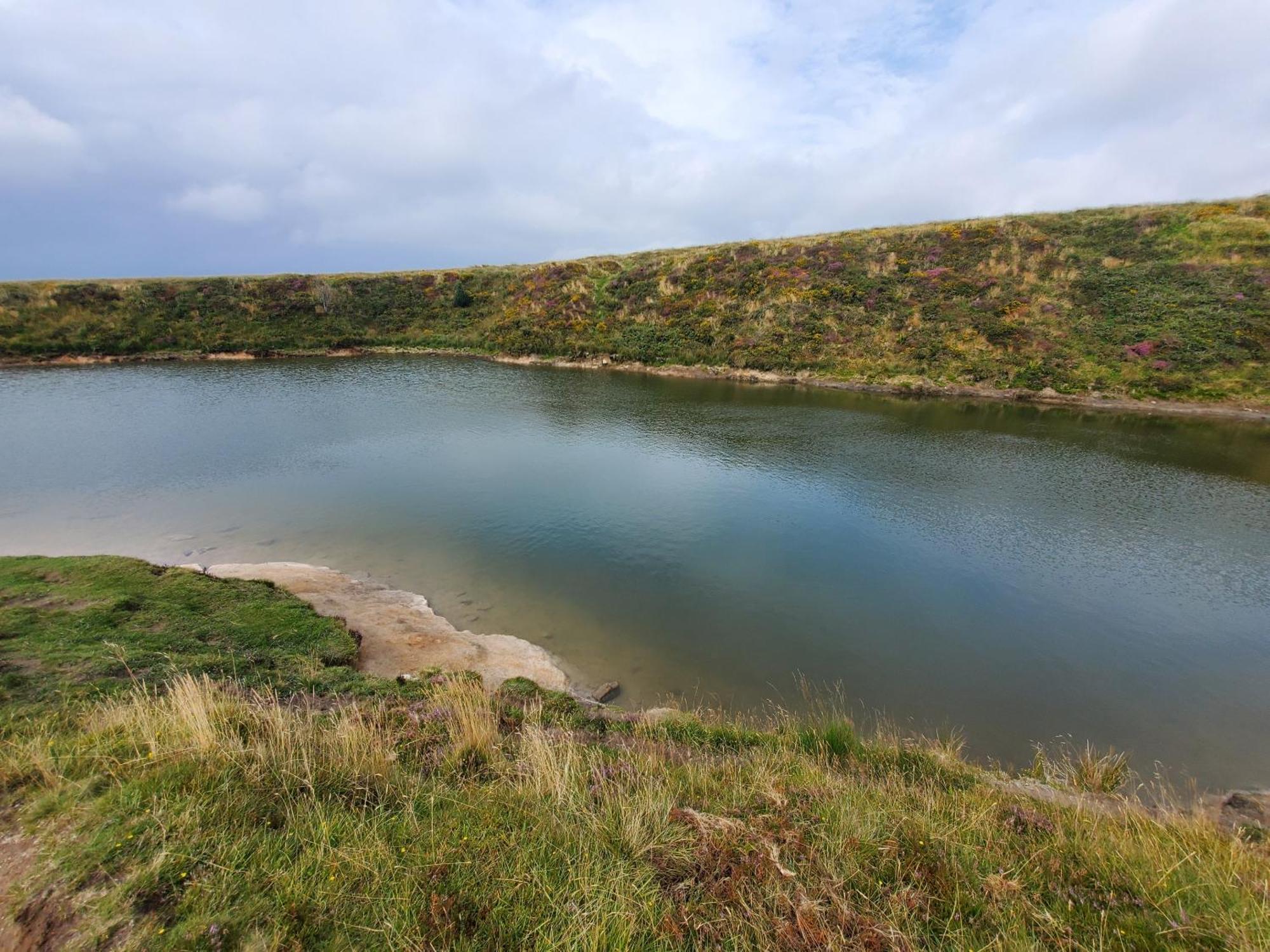 Dartmoor Reach Alpaca Farm Heated Cabins 5 Mins Drive To Dartmoor Bovey Tracey Ngoại thất bức ảnh
