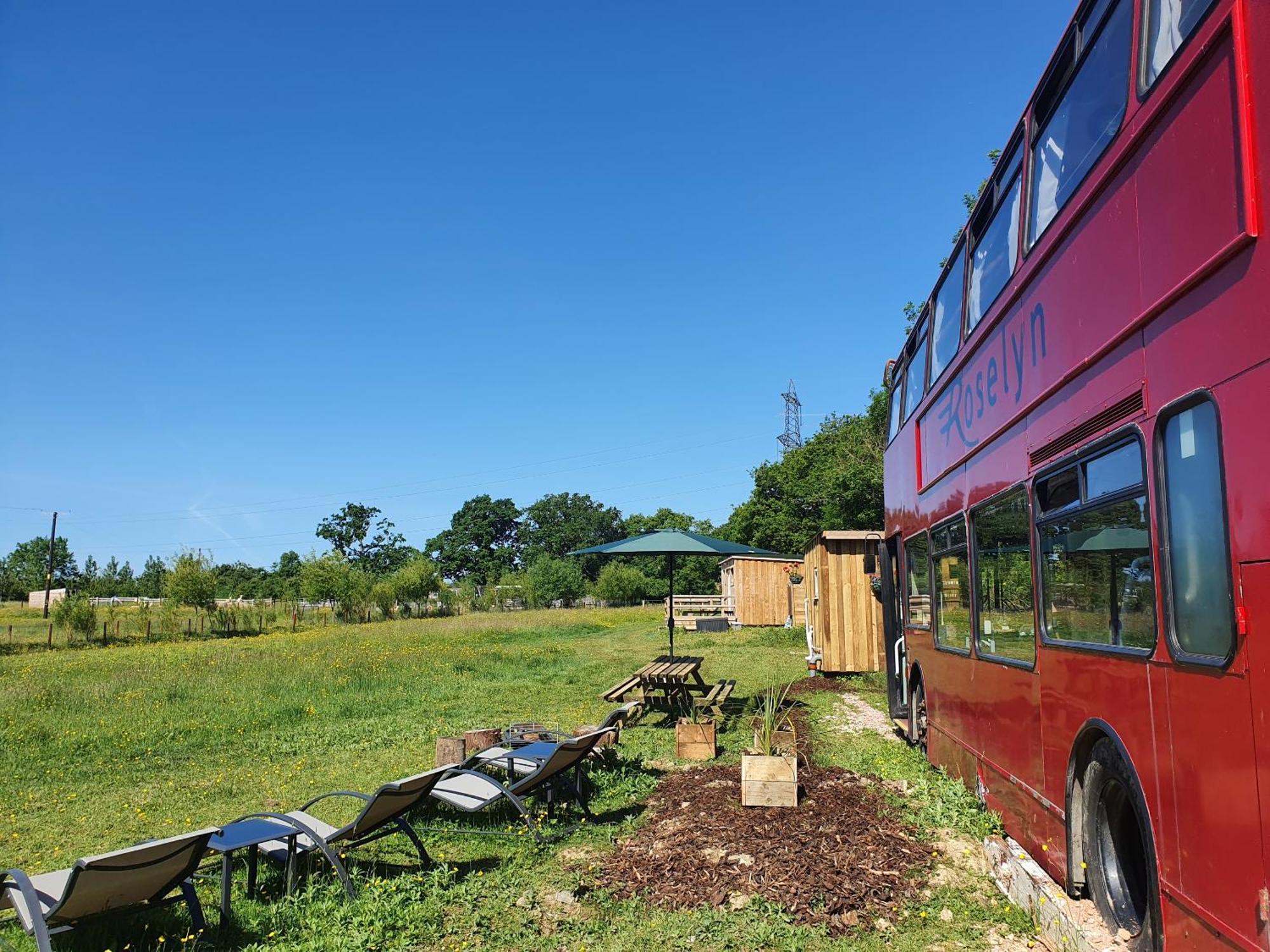 Dartmoor Reach Alpaca Farm Heated Cabins 5 Mins Drive To Dartmoor Bovey Tracey Ngoại thất bức ảnh
