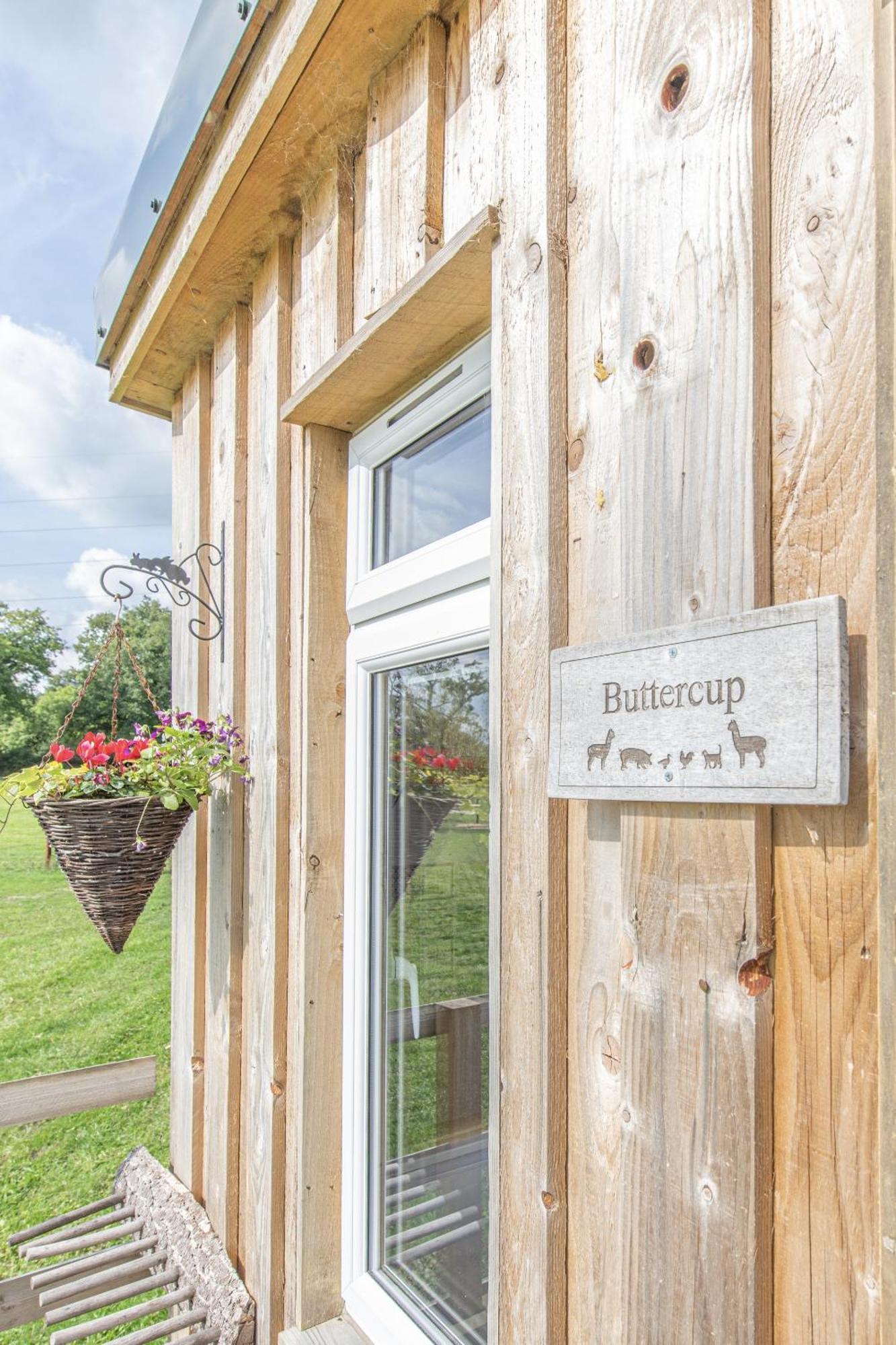 Dartmoor Reach Alpaca Farm Heated Cabins 5 Mins Drive To Dartmoor Bovey Tracey Phòng bức ảnh